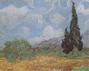 Vincent Van Gogh Wheat Field with Cypresses (nn04) oil painting reproduction